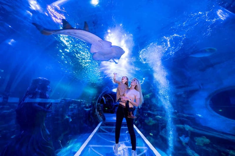Birmingham: National Sea Life Centre Entrance Ticket - The Interactive Rockpool lets you reach toward the sea