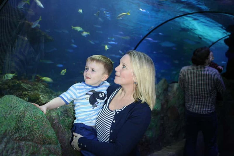 Blankenberge: SEA LIFE Entry Ticket - A full day beneath the surface in Blankenberge