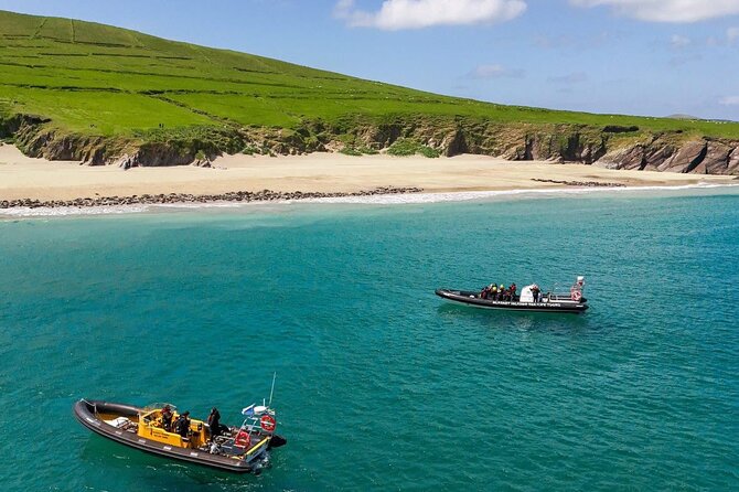 Blasket Island Sea Life Rib Tour, - Why the Blasket Islands look best from the sea