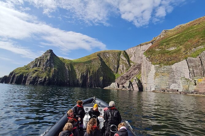 Blasket Island Sea Life Rib Tour, - What happens during the 2.5-hour outing