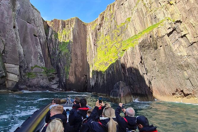 Blasket Island Sea Life Rib Tour, - Dolphins, whales, seals, and puffins