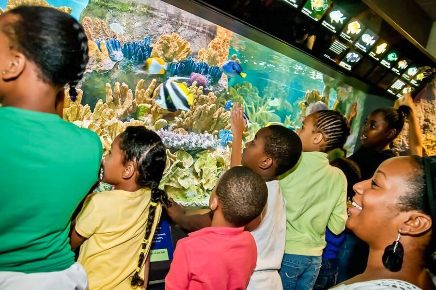 Boston: New England Aquarium Entry + Optional Simons Theatre - Access, families, and moving through the building