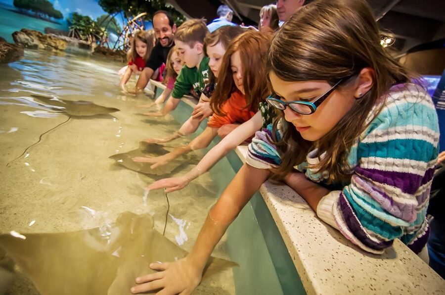 Boston: New England Aquarium Entry + Optional Simons Theatre - The central tank gives the aquarium its character