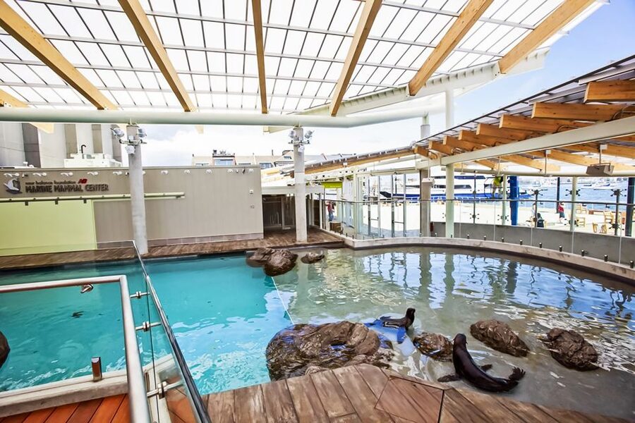 Boston: New England Aquarium Entry + Optional Simons Theatre - Harbor seals and sea lions bring the most movement