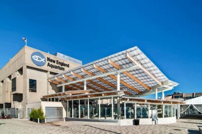 Boston: New England Aquarium Entry + Optional Simons Theatre
