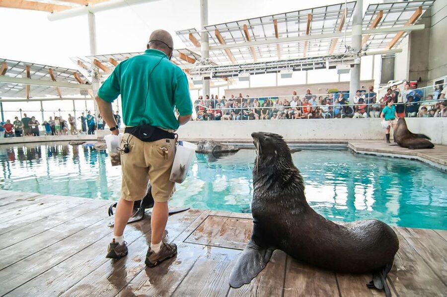 Boston: New England Aquarium Entry + Optional Simons Theatre - Look closer at the Yawkey Coral Reef Center