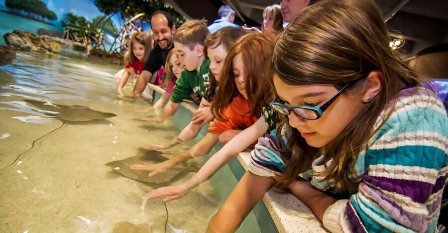 Boston: New England Aquarium Entry + Optional Simons Theatre - Is the $39 price good value?