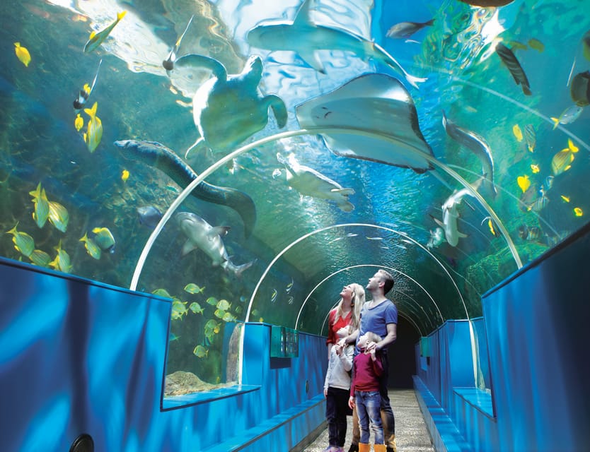 Bournemouth Oceanarium Ticket - Who will enjoy it most