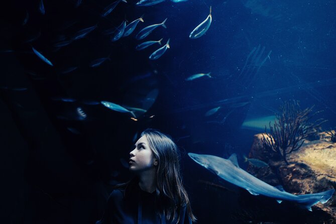 Burj Khalifa and Dubai Aquarium Combo Entrance Ticket - Two Dubai icons in one afternoon