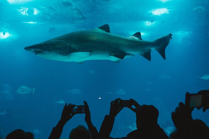 Burj Khalifa and Dubai Aquarium Combo Entrance Ticket - Timing matters more than the two-hour estimate