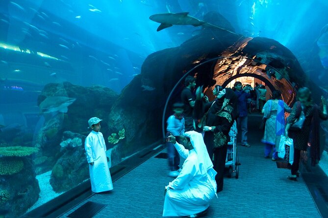 Burj Khalifa and Dubai Aquarium with Penguin Cove Combo - Two Dubai icons under one booking