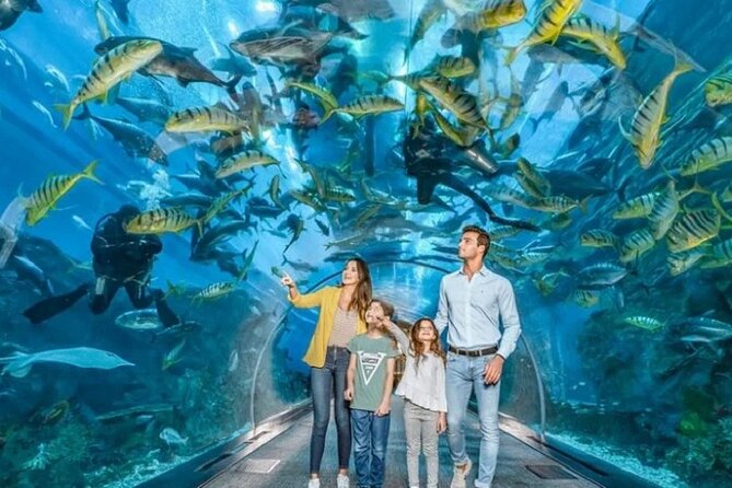 Burj Khalifa and Dubai Aquarium with Penguin Cove Combo - The 10-million-liter aquarium tank