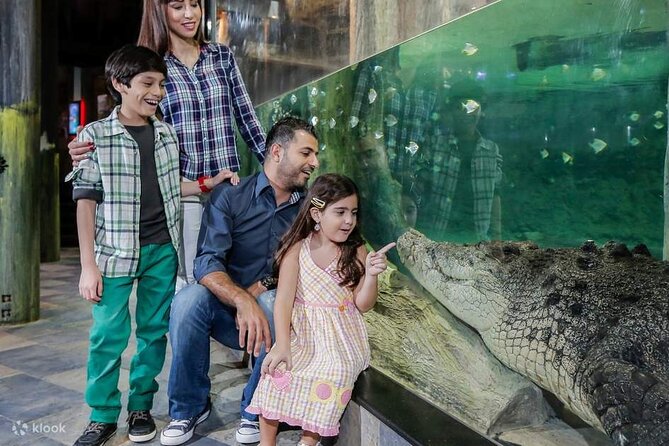 Burj Khalifa and Dubai Aquarium with Penguin Cove Combo - Walking through the 48-meter underwater tunnel