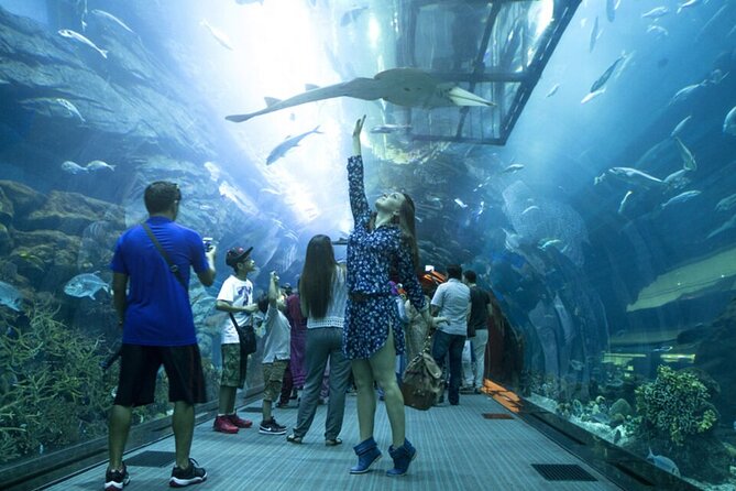 Burj Khalifa and Dubai Aquarium with Penguin Cove Combo - What the $108 price really covers