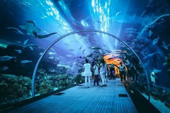 Burj Khalifa and Dubai Aquarium with Penguin Cove Combo - Timing your three to four hours