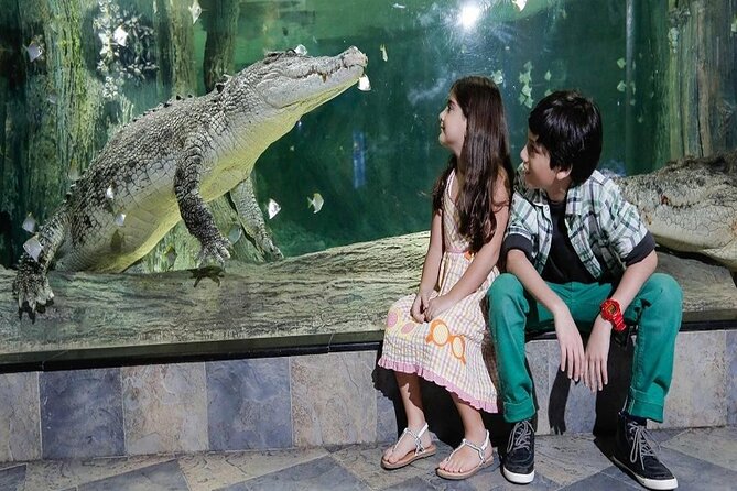 Burj Khalifa At The Top & Underwater Zoo Aquarium with Transfer - Timing, booking, and communication