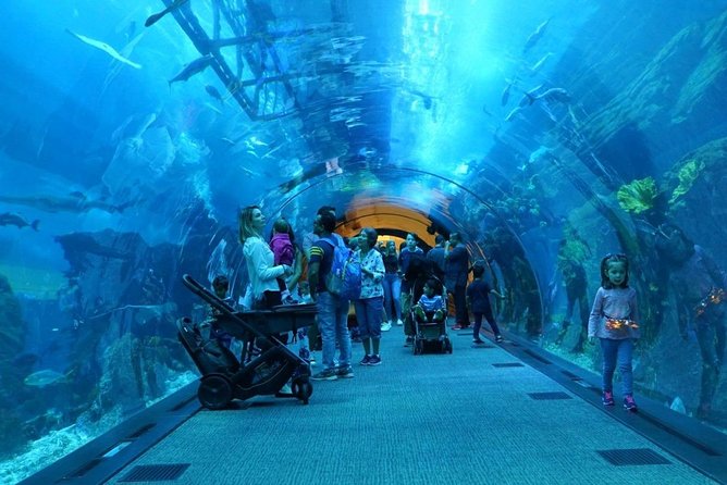 Burj Khalifa, Dubai Aquarium & UWZ with Penguin Cove Entry Ticket - Should you book the Burj Khalifa and Aquarium combo?