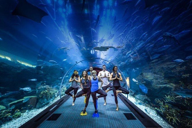 Burj Khalifa, Dubai Aquarium & UWZ with Penguin Cove Tickets - The queue is the package’s biggest weakness