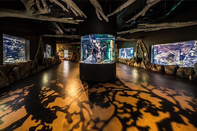 Cairns Aquarium Admission Ticket - A rainforest-to-reef story under one roof