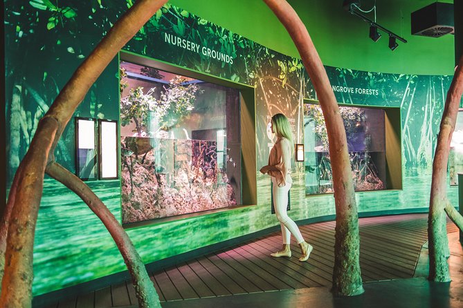 Cairns Aquarium Admission Ticket - The Oceanarium and underwater tunnel