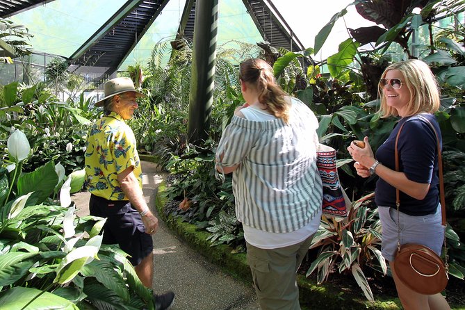 Cairns Aquarium and small group City Sightseeing Tour - Palm Cove and the northern beach atmosphere