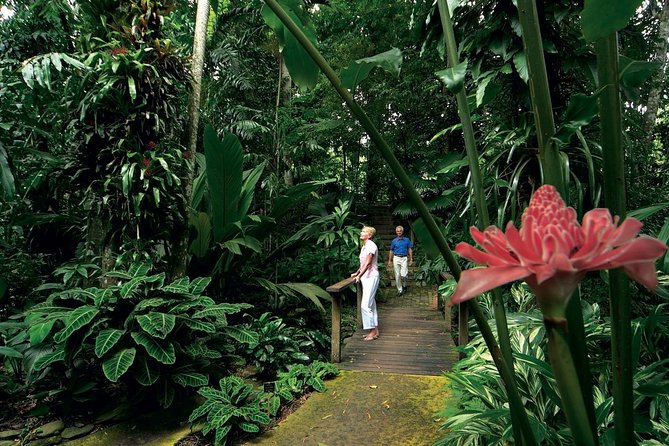 Cairns Aquarium and small group City Sightseeing Tour - The guides and the small-group format