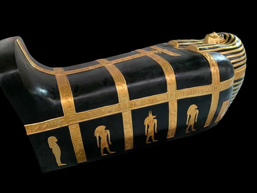 Cairns: Aquarium and Tomb of the Pharaohs Entry Ticket - Should You Book The Aquarium And Tomb Combo?