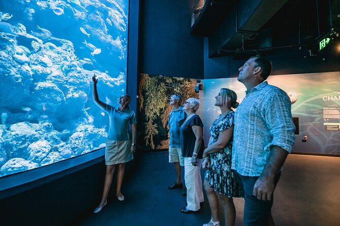 Cairns Aquarium by Twilight Tour - Why twilight is the right time to visit