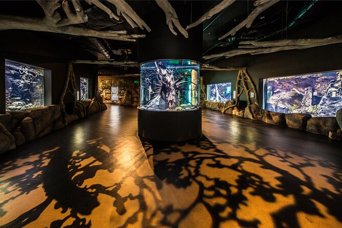 Cairns Aquarium by Twilight Tour - What the two-hour route is like