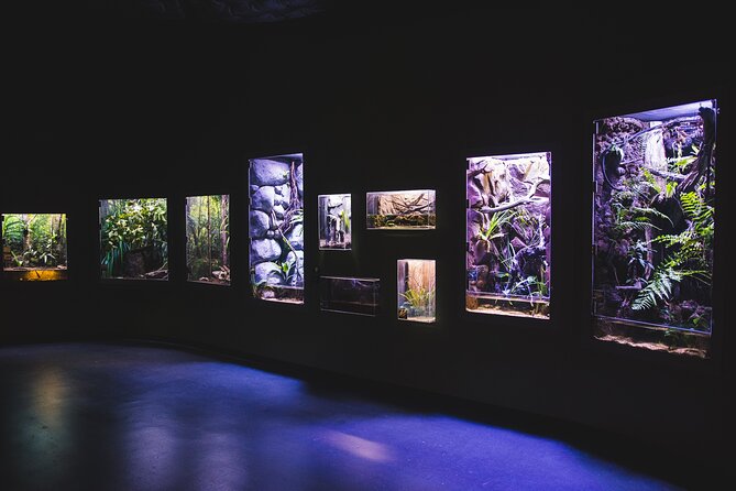 Cairns Aquarium by Twilight Tour - Is $60.97 good value?