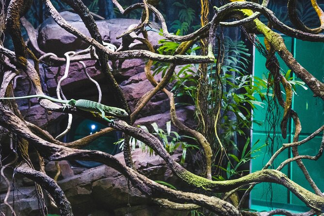 Cairns Aquarium by Twilight Tour - Who will get the most from this tour
