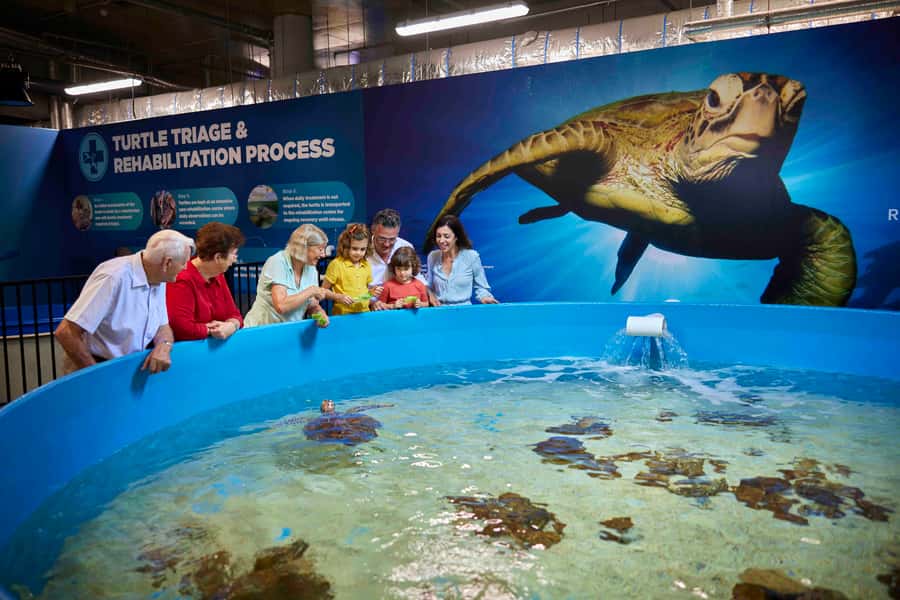 Cairns: Aquarium Entry Ticket and Turtle Rehabilitation Tour - A full day inside Cairns Aquarium