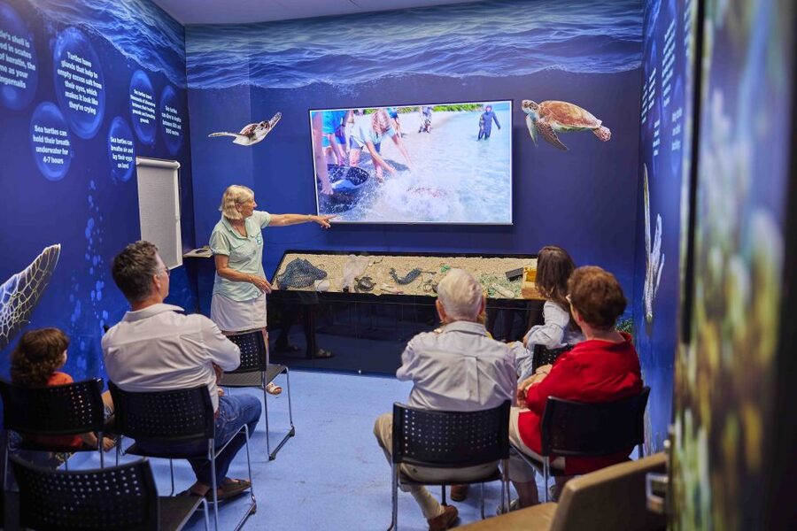 Cairns: Aquarium Entry Ticket and Turtle Rehabilitation Tour - What happens at the Turtle Rehabilitation Center