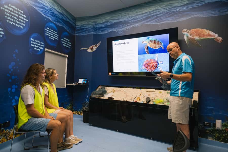 Cairns: Aquarium Entry Ticket and Turtle Rehabilitation Tour - The animal welfare question