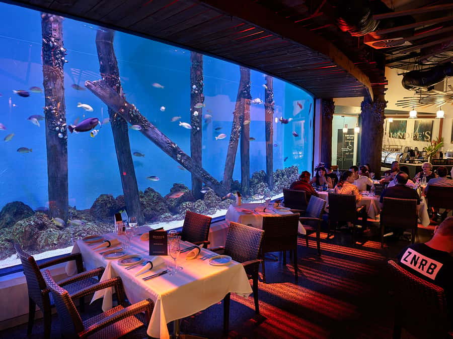 Cairns Aquarium General Admission Ticket - River Monsters adds a freshwater change of pace