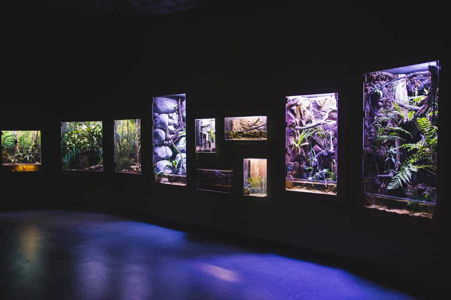 Cairns Aquarium General Admission Ticket - Small details that improve your visit