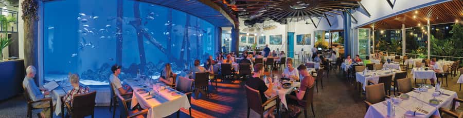 Cairns: Aquarium Guided Twilight Tour with 3-Course Dinner - Is $126 per person good value?