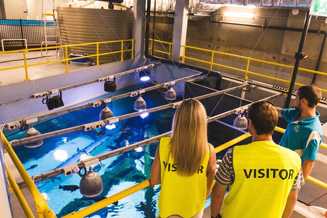 Cairns Aquarium Marine Life Encounter Ticket - Key points at a glance