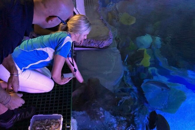 Cairns Aquarium Marine Life Encounter Ticket - A working aquarium, not just a row of exhibits