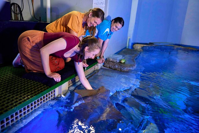 Cairns Aquarium Marine Life Encounter Ticket - A practical look at animal care