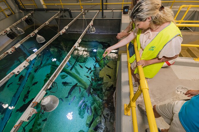 Cairns Aquarium Marine Life Encounter Ticket - Reptile breeding behind the scenes