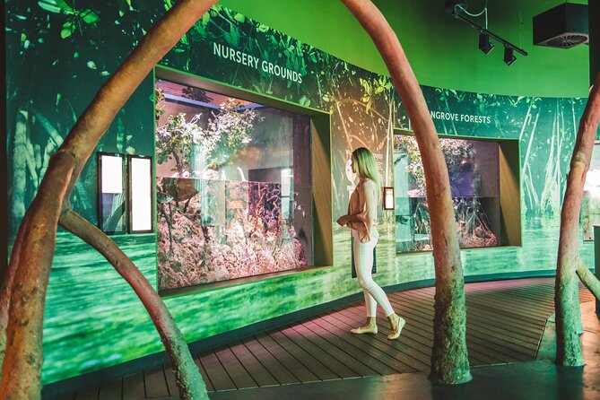 Cairns Aquarium Marine Life Encounter Ticket - Three hours with a guide, and what the price buys