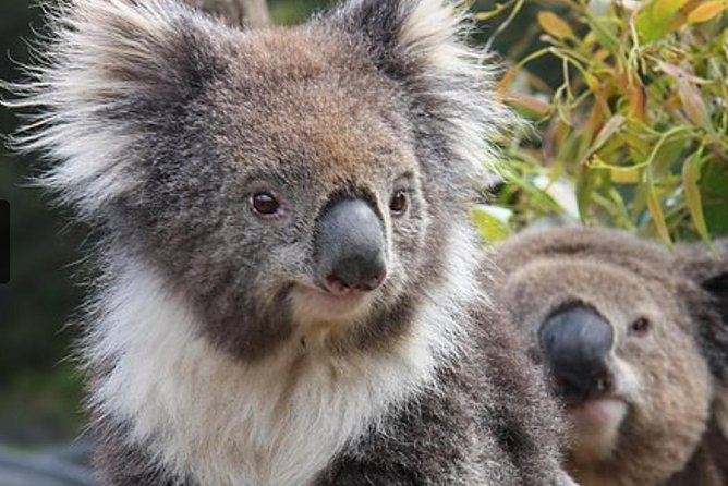 Cairns Aquarium Marine Life Encounter Ticket - Who will get the most from this visit