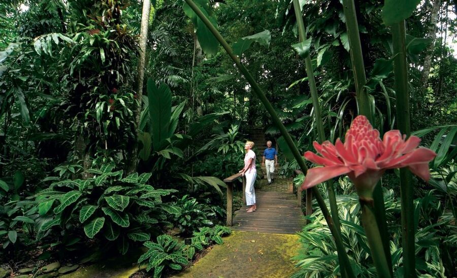Cairns Aquarium Turtle Hospital and City Sightseeing Tour - What the $139 price includes