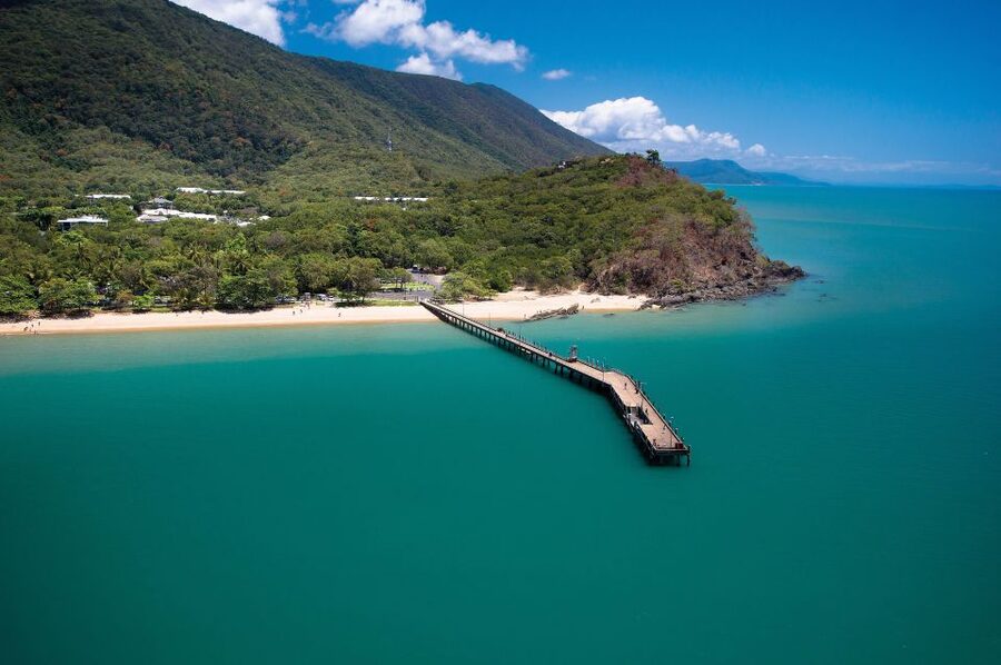 Cairns Aquarium Turtle Hospital and City Sightseeing Tour - A 20-minute look inside Cairns Museum