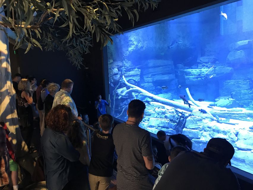 Cairns Aquarium Turtle Hospital and City Sightseeing Tour - Lower Barron Gorge and Surprise Creek Falls