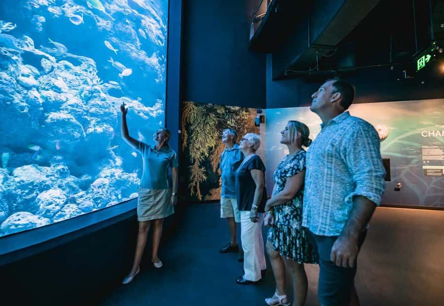 Cairns: Night at the Aquarium Guided Tour - Key points to know before booking