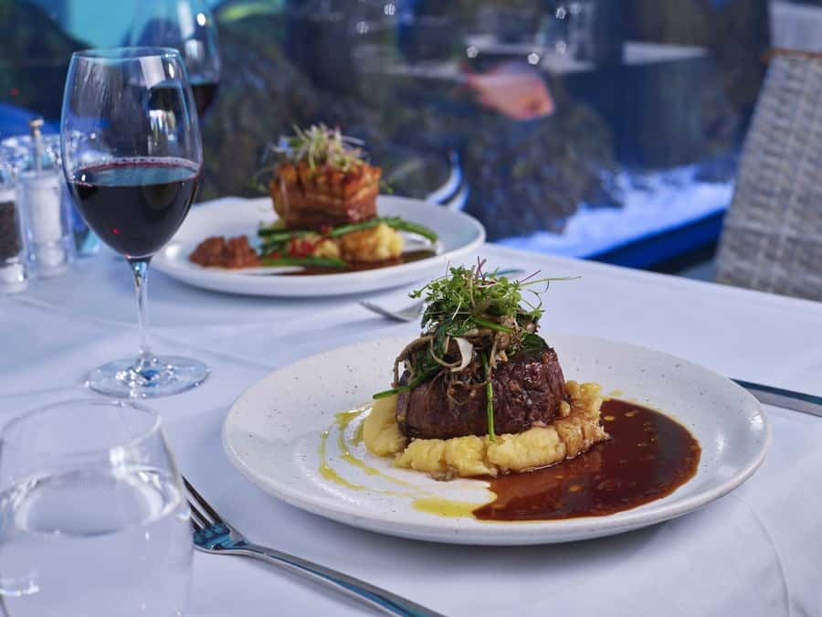 Cairns: Night at the Aquarium Guided Tour & 2 Course Dinner - What changes inside Cairns Aquarium after dark