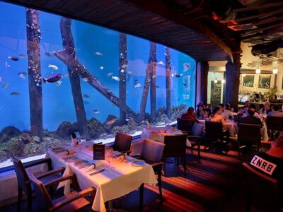 Cairns: Night at the Aquarium Guided Tour & 2 Course Dinner