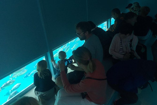 Cala Murtra: Immerse yourself in the beauty of an underwater world - What happens at Cala Murtra